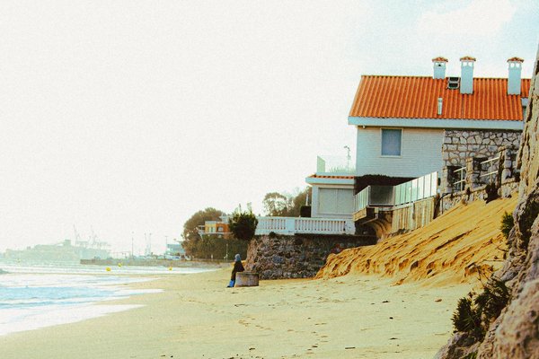 Peut-on trouver une croisière qui propose des excursions pour observer les tortues en Grèce?